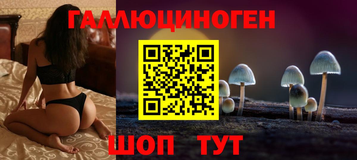 Псилоцибиновые грибы Cubensis Бийск