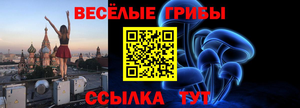 Галлюциногенные грибы Magic Shrooms  Вход с VPN  Бийск 